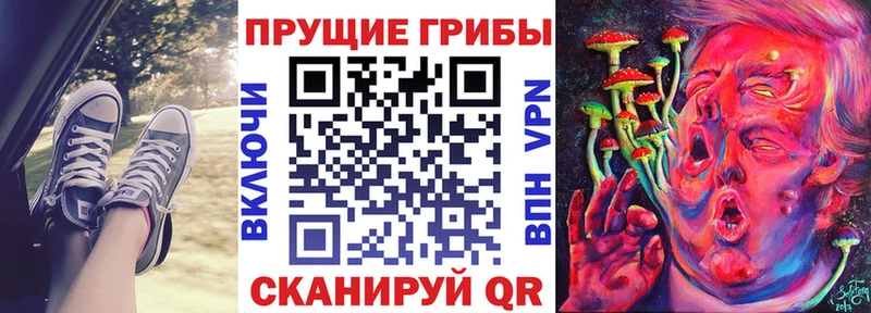 Псилоцибиновые грибы ЛСД  Борисоглебск 