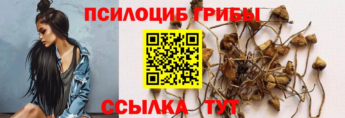 Борисоглебск  Галлюциногенные грибы GOLDEN TEACHER  Вход с VPN  Псилоцибиновые грибы Magic Shrooms 