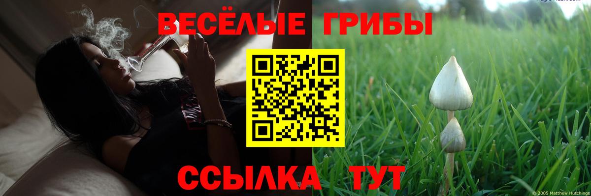 Галлюциногенные грибы GOLDEN TEACHER Борисоглебск