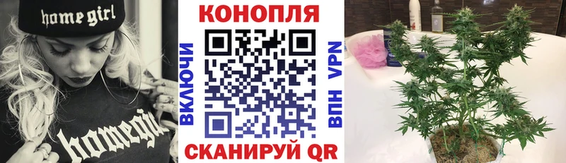продажа наркотиков  Борисоглебск  МАРИХУАНА VHQ 